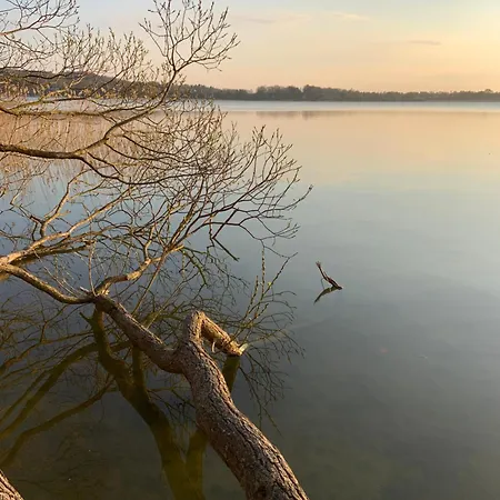 Am Mit Strandkorb In *
