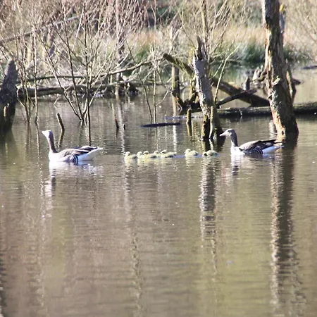 Am Mit Strandkorb In شقة *