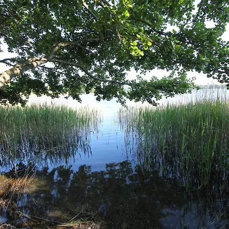 Am Mit Strandkorb In * شاربوتس